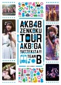 AKB48 AKB ga yattekita!! (AKB48 AKBがやって来た!!) (DVD Team B) Cover