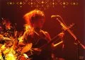 Primo video con So Wonderful di BONNIE PINK: Tour 2005 