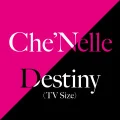 Primo single con Destiny di Che'Nelle: Destiny