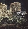 Primo album con 「Lucid Dream」 di DADAROMA: 「dadaism♯2」