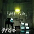 Primo single con 「Oboreru Sakana」 di DADAROMA: 「Oboreru Sakana」(「溺れる魚」)