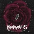 Primo album con SHINING MOMENTS di GALNERYUS: REINCARNATION