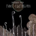 Primo album con Kodama di Kikagaku Moyo: Forest of Lost Children