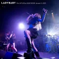 Ultimo album di LADYBABY: The LAST LIVE at LIQUID ROOM, Tokyo -January 13, 2020-