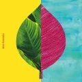 Primo album con JOY di Miho Fukuhara: Love Don't Come Easy