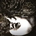 Primo album con -What do you want?- di Misaruka: -WHAT DO YOU WANT?-
