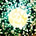 Primo single con Moonlight--------. di Plastic Tree: Moonlight--------. (ムーンライト--------。)