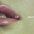 Primo album con YOKOHAMA blues di SEKAI NO OWARI: Lip