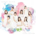 Primo album con Teion Yakedo di Tsubaki Factory: first bloom