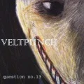 Primo album con Room di VELTPUNCH: question no.13