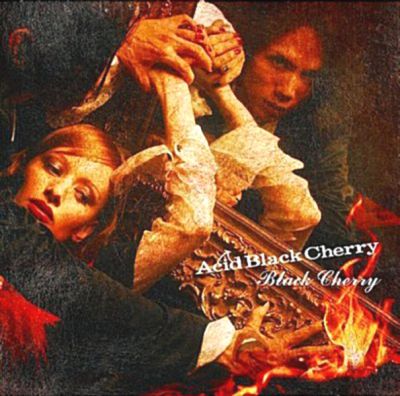Black Cherry (CD)
Parole chiave: acid black cherry black cherry