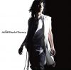 acid_black_cherry_aishitenai_cd+dvd.jpg