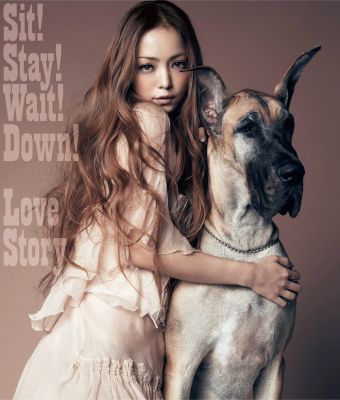 Sit! Stay! Wait! Down! / Love Story (CD+DVD)
Parole chiave: namie amuro sit! stay! wait! down! love story