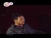 Acid Black Cherry - SPELL MAGIC (PV)